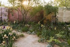 a garden with lots of plants and flowers