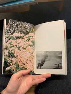 a person is holding an open book in their left hand and there are flowers on the other side