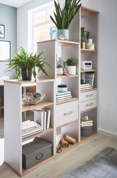 a book shelf filled with lots of books next to a potted plant on top of a wooden floor