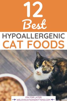 a cat sitting next to a bowl of food with the title 12 best hypoallergenic cat foods