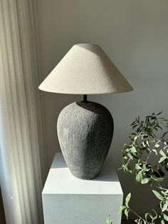 a table lamp sitting on top of a white block next to a potted plant