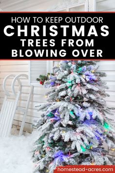 a christmas tree with the words how to keep outdoor christmas trees from blowing over