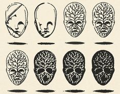 an image of different types of human heads