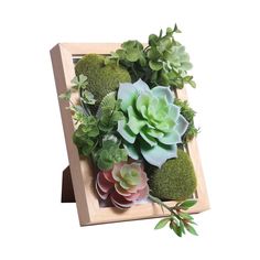 PRICES MAY VARY. Material: the 3D greenery artificial succulents plants frame is made of wooden frame and very realistic nontoxic plastic Succulents. Specifications: faux succulents frame measures 23cm(9 inch) in height and 18cm(7 inch) in length, 407g(14 oz) in net weight. Realistic artificial plants: each frame is covered with more than 4 kinds of succulent plants, which looks more layered, aesthetic and realistic, and brings you a sense of vitality in life. Multifunctional: both stand and han Plants For Table, Succulent Table Decor, Rainbow Succulent, Wooden Pegboard, Succulent Frame, Desk Frame, Framed Plants, Desk Plants, Hanging Plant Wall