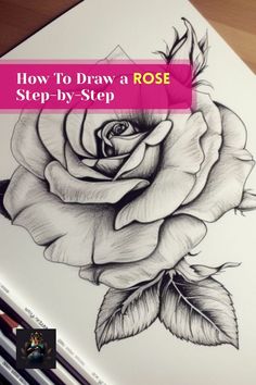 a rose drawing with the title how to draw a rose step by step