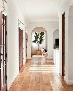 the hallway is clean and ready for guests to use it as an entrance way into the house