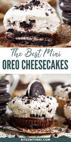 the best mini oreo cheesecakes are made with oreos and chocolate cookies