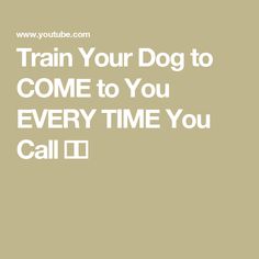 the words train your dog to come to you every time you call it