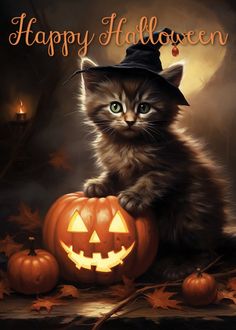 a kitten wearing a witches hat sitting next to a pumpkin