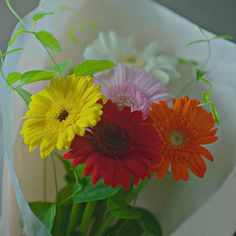 a bunch of flowers that are in a vase