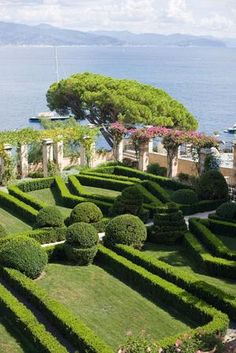 an elaborate garden with hedges and trees near the water