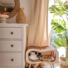 a cat laying in a pet bed on top of a wooden chair next to a window