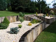 a garden with rocks and plants in it