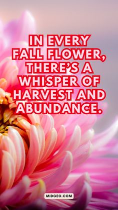 a pink flower with the words in every fall flower there's a whisper of harvest and abundance