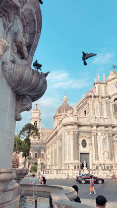 birds are flying around in front of a building