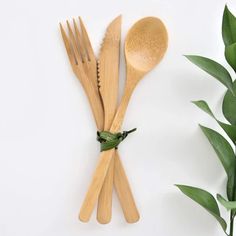 three wooden spoons and two bamboo utensils on a white background with green leaves