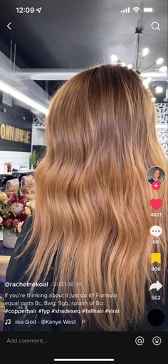 Redkin Eq Shades Formulas Strawberry Blonde, Copper Hair Toner Before And After, 8gg Shades Eq, Strawberry Blonde Toner Shades Eq, Light Copper Shades Eq Formula, Calura Gloss Formulas, 9rb Shades Eq, Copper Blonde Hair Formula, Redken Shades Strawberry Blonde Formulas