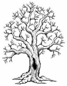 a black and white drawing of a tree