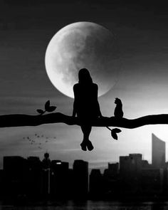 two birds are sitting on a branch in front of the moon and cityscape