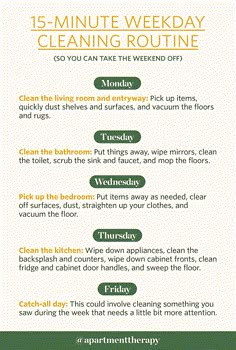 the five minute cleaning routine is shown in green and yellow, as well as instructions for how