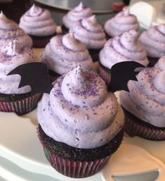 cupcakes with purple frosting and black bats on them are sitting on a white plate