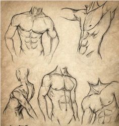 a drawing of the back and side view of a man's torso, arm, and chest