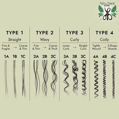 How To Know What Your Hair Type Is, How To Know What Hair Type You Have, Types Of Wavy Hair Chart, Different Types Of Wavy Hair, How To Find Hair Type, How To Find Out Your Hair Type, Type Of Hair Texture Chart, How To Know Your Hair Type, What Type Of Curly Hair Do I Have