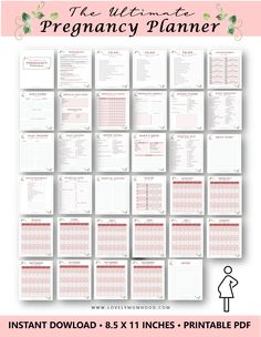 the ultimate pregnant planner printable