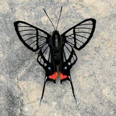 a black and red butterfly sitting on top of a cement floor next to a wall