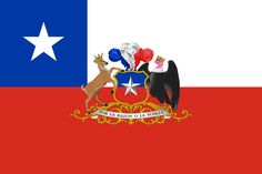 the flag of texas with two birds and an eagle on it's back side