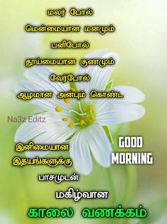 some white flowers with the words good morning written in different languages on it and an image of