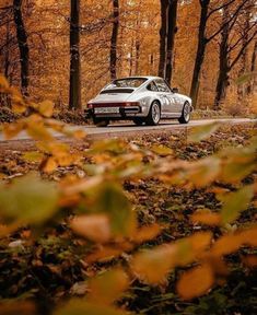 a white car parked on the side of a road next to trees with leaves all over it