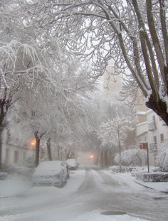 a snowy street with cars parked on the side and trees covered in snow at night