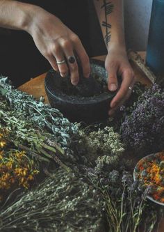 Hablaba con seres,luego me enteré que se llamaban espíritusCuraba con plantas y flores,luego me enteré que se llamaba naturopatíaDecía cosas intuitivas y ocurrían,luego me enteré que se llamaba vid… Magia Das Ervas, Yennefer Of Vengerberg, Green Fairy, Witch Aesthetic, Kitchen Witch, Green Witch, Witchy Vibes, Healing Herbs, Twilight Sparkle