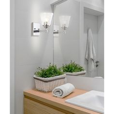 a bathroom with a sink, mirror and plants in the basket on the counter top