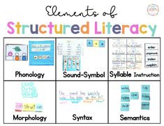 a poster with words and pictures to describe the structure of an interactive literature text study