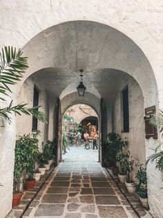 an archway with potted plants on either side