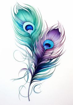 Imressive Styled Feather Graphics: 4K Vector Art Watercolor Peacock Feather, Feather Art Drawing, Peacock Feather Drawing, Feather Clipart, Watercolor Peacock, Feather Drawing, Digital Banners, Blue Feathers, 3d Printed Objects