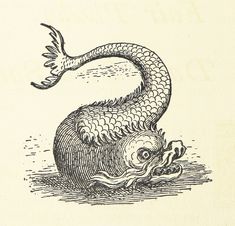 an old illustration of a dragon with its mouth open and tongue out, sitting on the ground