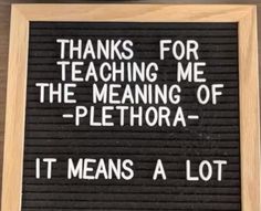 a sign that says thanks for teaching me the meaning of plethora it means a lot