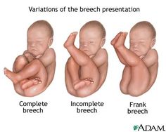 the stages of breasting in babies