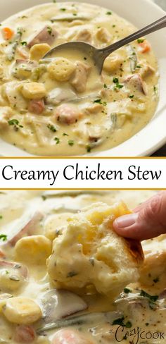 creamy chicken stew in a white bowl with a ladle scooping out the soup