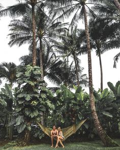 two people sitting in a hammock between palm trees