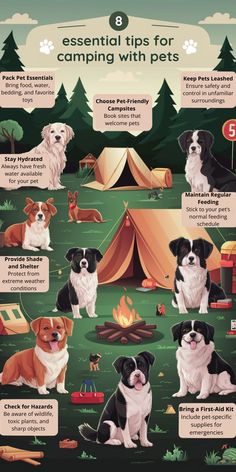 a poster showing different types of dogs in the woods and camping with tents on it