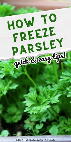 a sign that says how to freeze parsley quick and easy tips on growing parsley