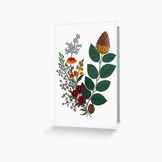 an illustration of flowers and leaves on a white background greeting card with the words, wildflowers