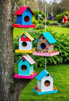 colorful bird houses hanging from a tree