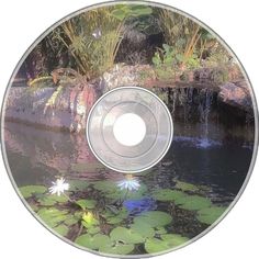 there is a cd with water lilies in the pond and plants around it on the disc