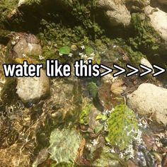 the words water like this are in front of some rocks and plants on the ground