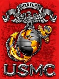 the usmc emblem with an eagle and globe on it's chest, as well as